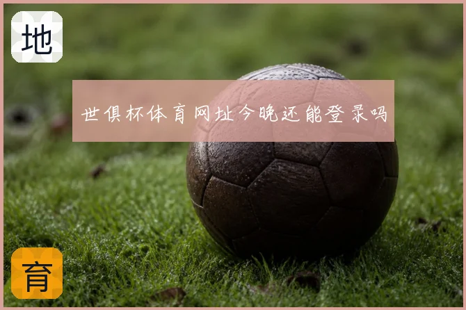 世俱杯体育网址今晚还能登录吗