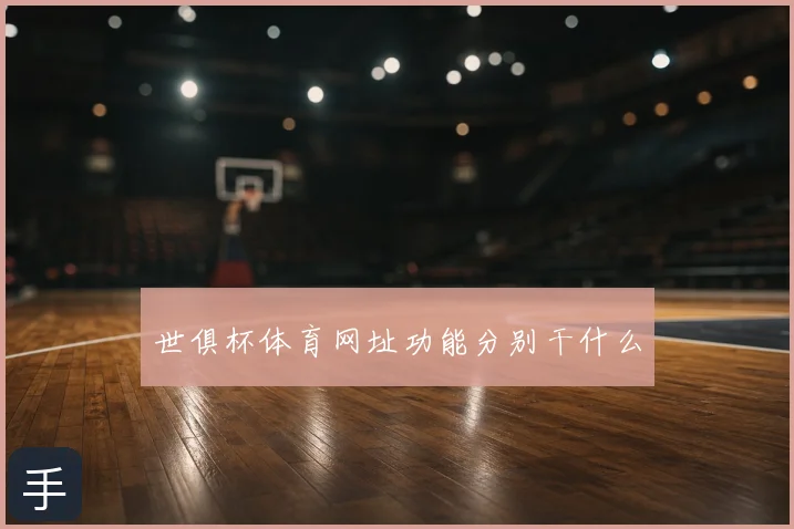 世俱杯体育网址功能分别干什么